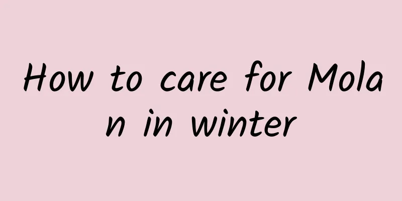 How to care for Molan in winter