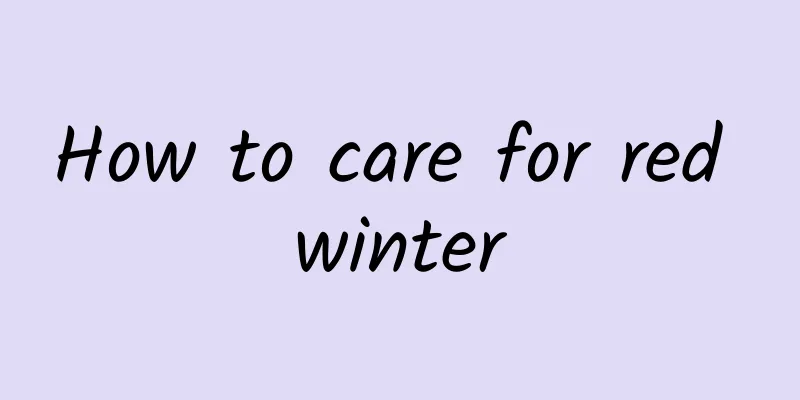 How to care for red winter