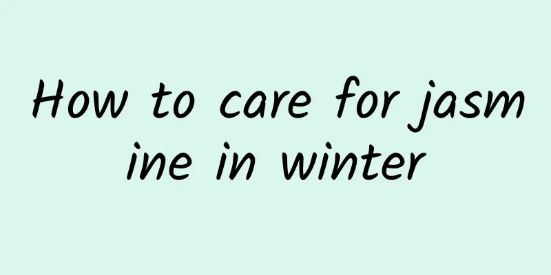 How to care for jasmine in winter