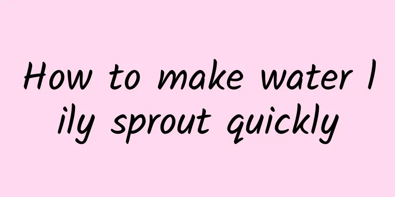 How to make water lily sprout quickly
