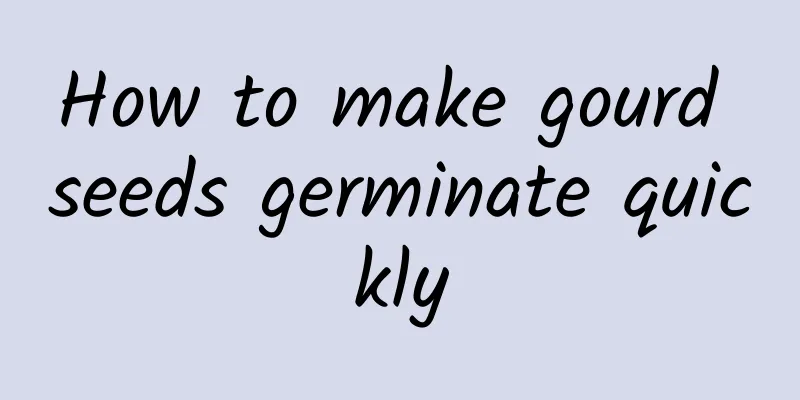 How to make gourd seeds germinate quickly
