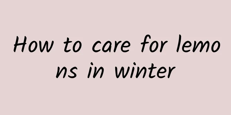 How to care for lemons in winter