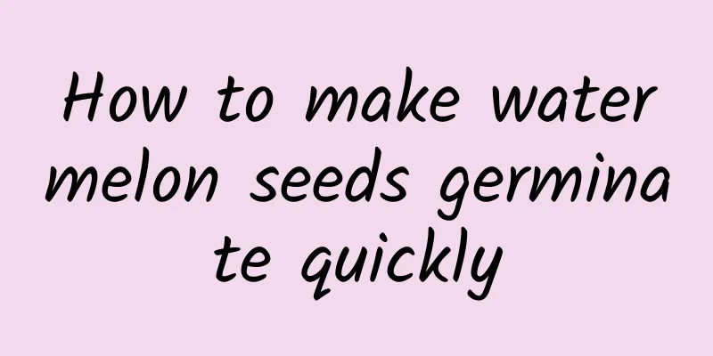 How to make watermelon seeds germinate quickly
