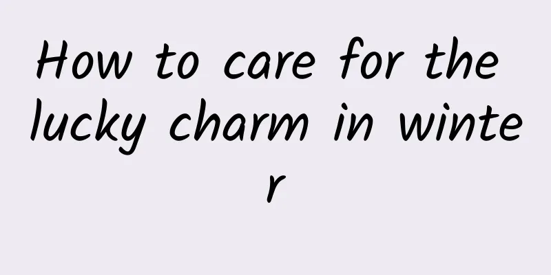 How to care for the lucky charm in winter