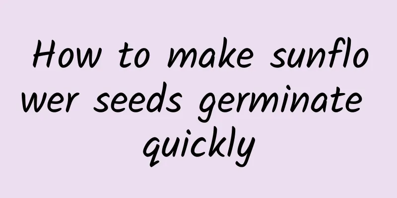 How to make sunflower seeds germinate quickly