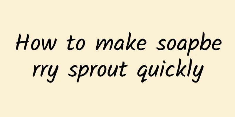 How to make soapberry sprout quickly