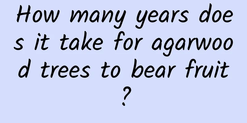 How many years does it take for agarwood trees to bear fruit?