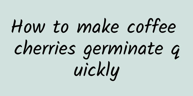 How to make coffee cherries germinate quickly