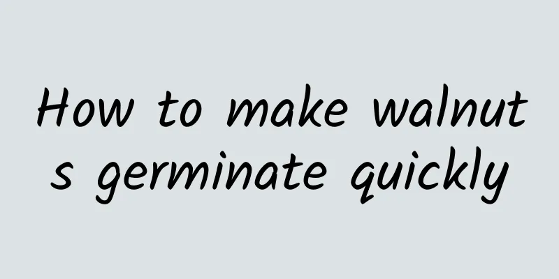 How to make walnuts germinate quickly