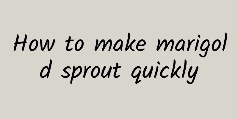How to make marigold sprout quickly