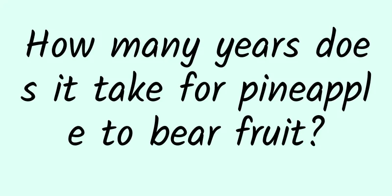 How many years does it take for pineapple to bear fruit?