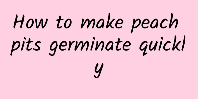 How to make peach pits germinate quickly