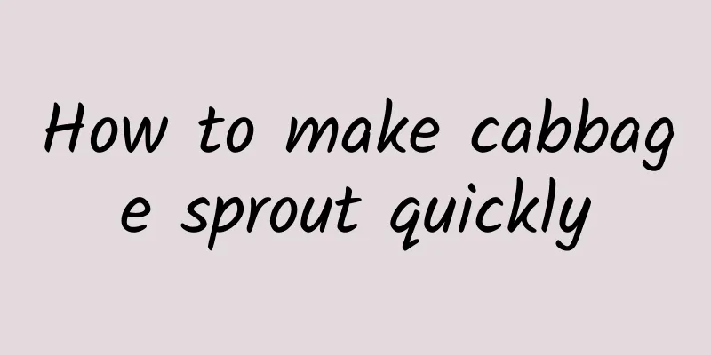 How to make cabbage sprout quickly