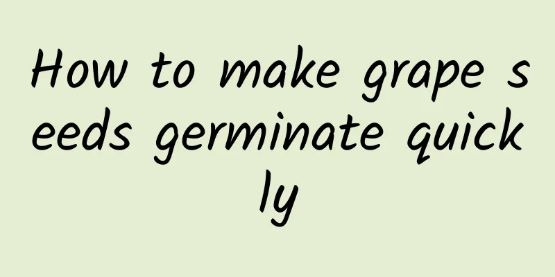 How to make grape seeds germinate quickly