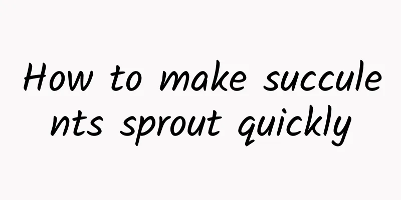 How to make succulents sprout quickly