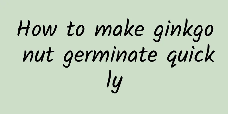 How to make ginkgo nut germinate quickly
