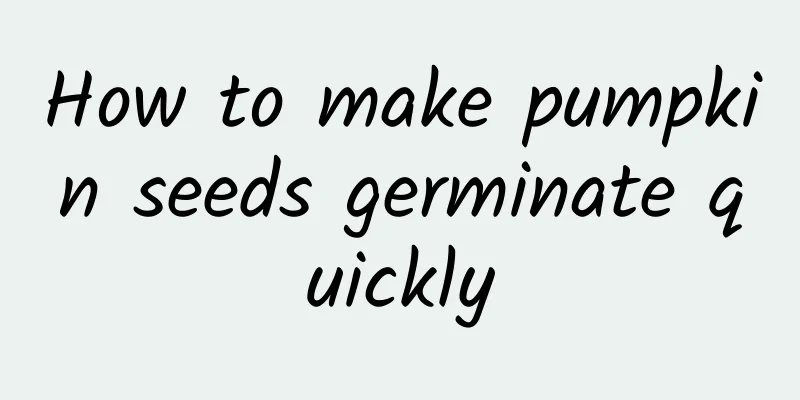 How to make pumpkin seeds germinate quickly