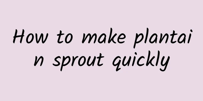 How to make plantain sprout quickly