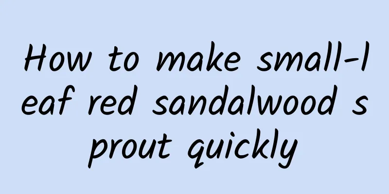 How to make small-leaf red sandalwood sprout quickly