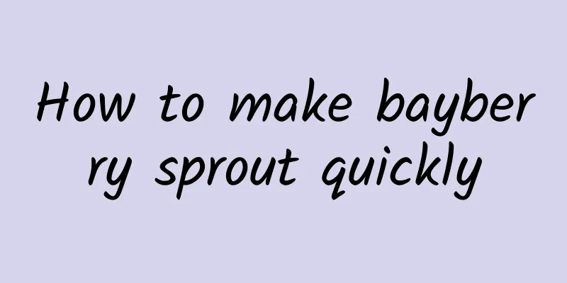 How to make bayberry sprout quickly