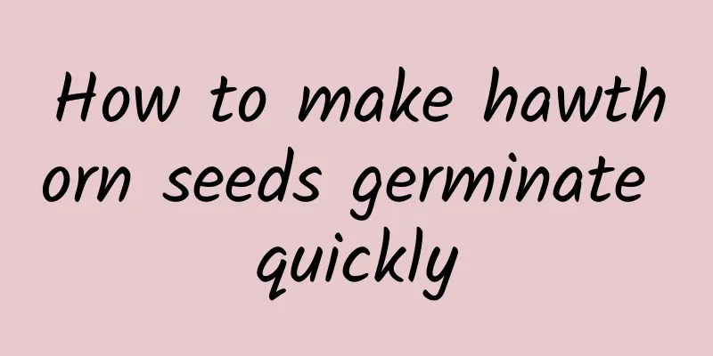 How to make hawthorn seeds germinate quickly