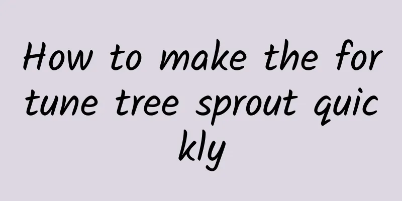 How to make the fortune tree sprout quickly