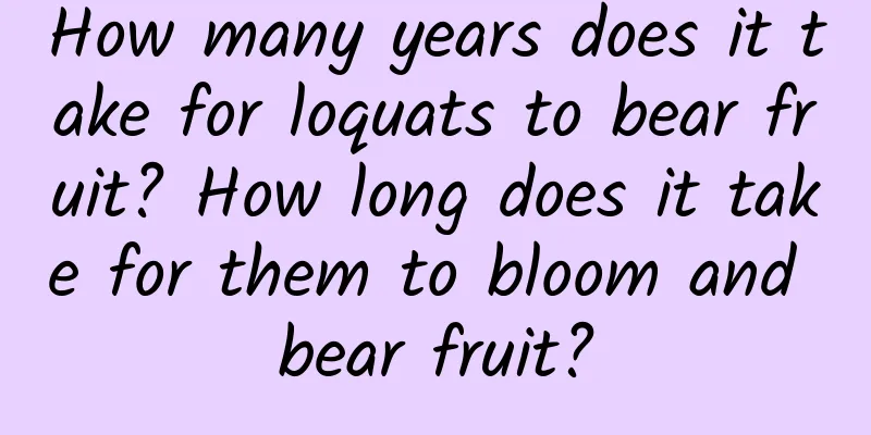 How many years does it take for loquats to bear fruit? How long does it take for them to bloom and bear fruit?