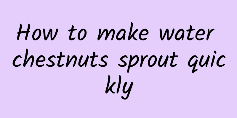 How to make water chestnuts sprout quickly