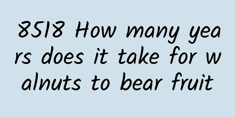 8518 How many years does it take for walnuts to bear fruit