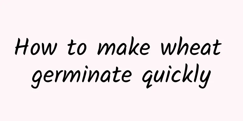 How to make wheat germinate quickly