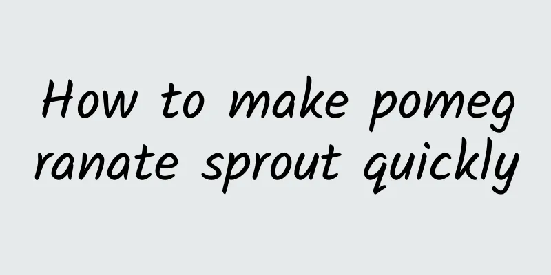 How to make pomegranate sprout quickly