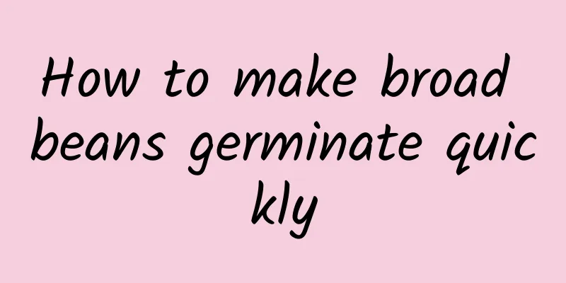 How to make broad beans germinate quickly