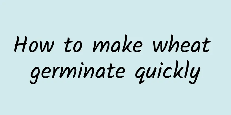 How to make wheat germinate quickly