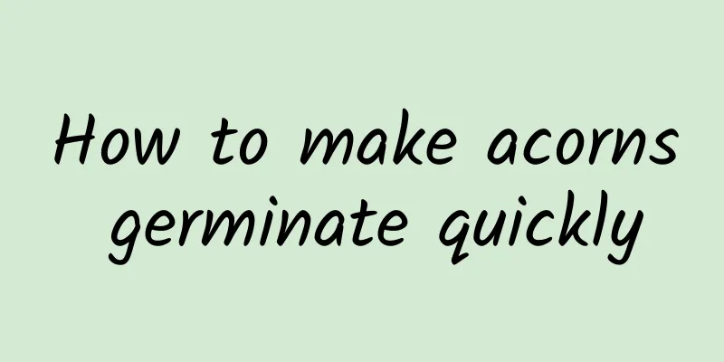 How to make acorns germinate quickly