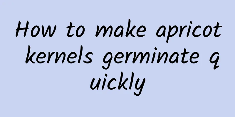 How to make apricot kernels germinate quickly