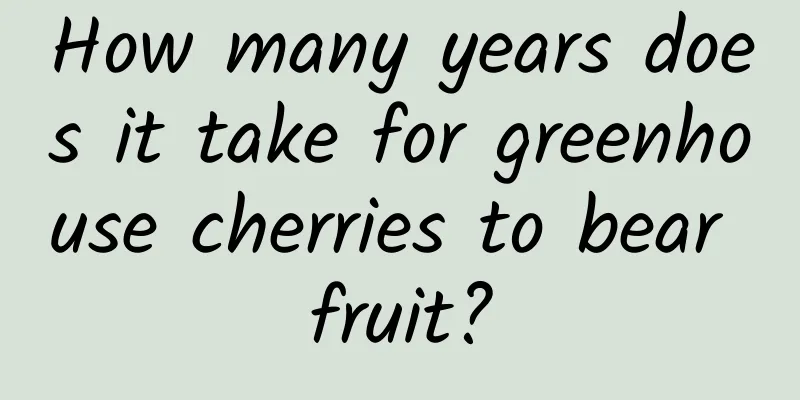 How many years does it take for greenhouse cherries to bear fruit?