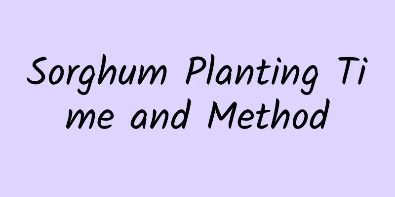 Sorghum Planting Time and Method