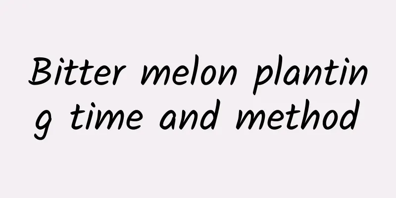 Bitter melon planting time and method