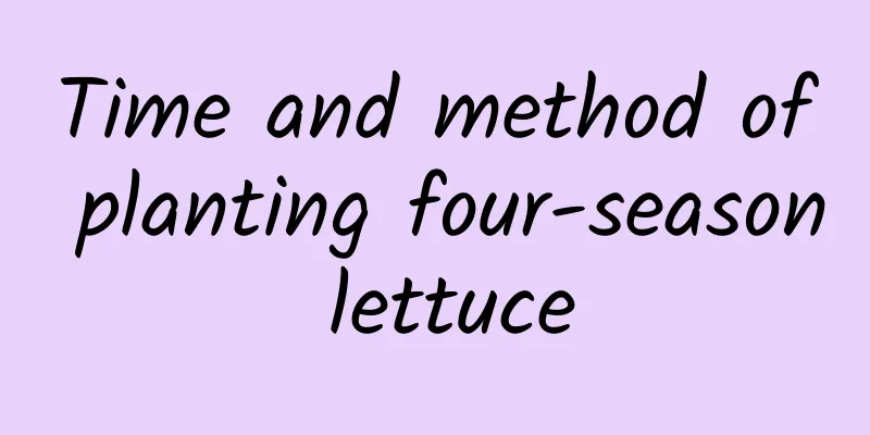 Time and method of planting four-season lettuce
