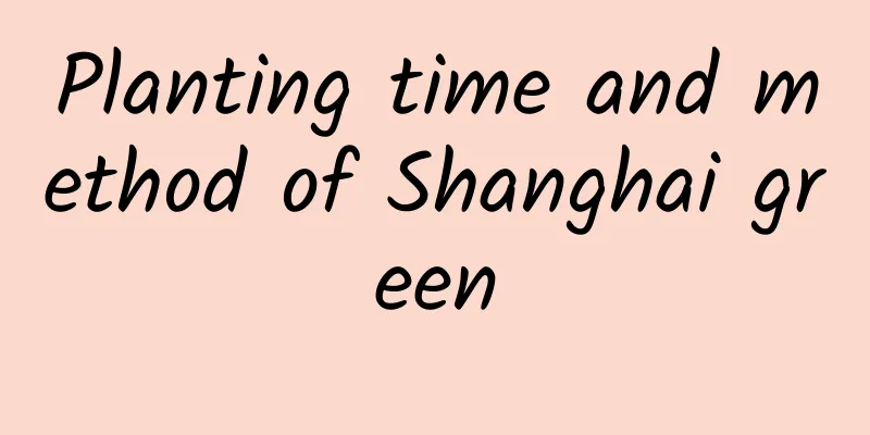 Planting time and method of Shanghai green