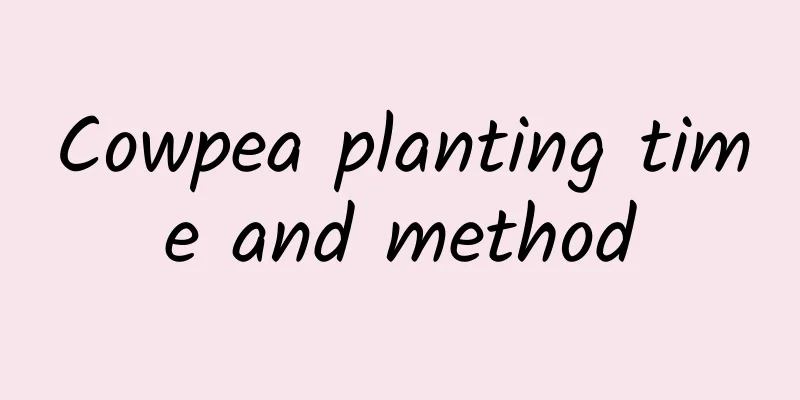 Cowpea planting time and method