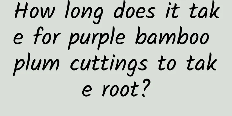 How long does it take for purple bamboo plum cuttings to take root?