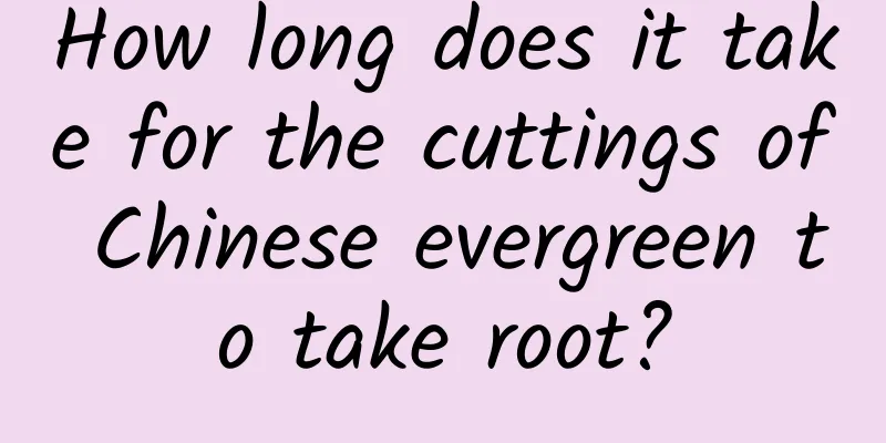 How long does it take for the cuttings of Chinese evergreen to take root?