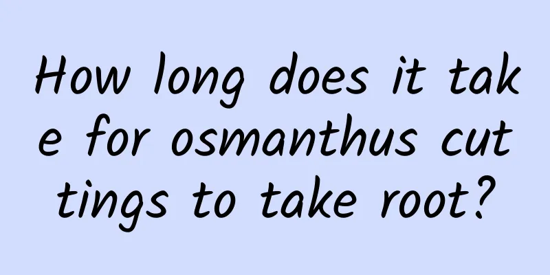 How long does it take for osmanthus cuttings to take root?