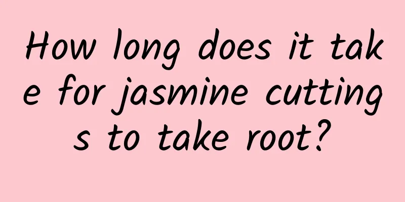 How long does it take for jasmine cuttings to take root?