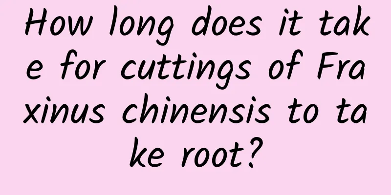How long does it take for cuttings of Fraxinus chinensis to take root?