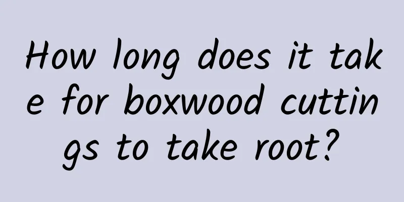How long does it take for boxwood cuttings to take root?