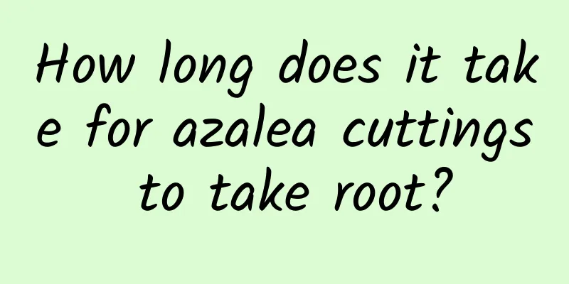 How long does it take for azalea cuttings to take root?