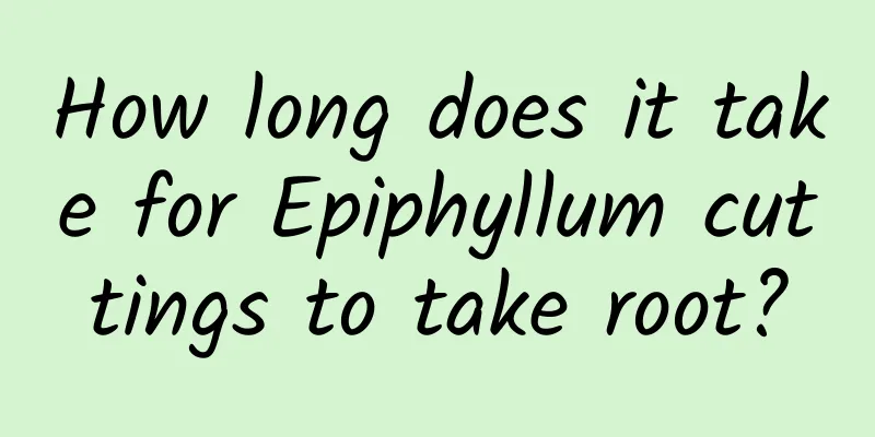 How long does it take for Epiphyllum cuttings to take root?