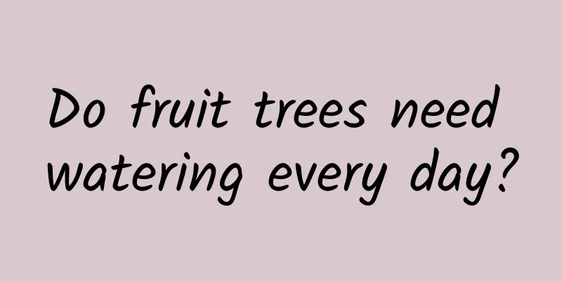 Do fruit trees need watering every day?